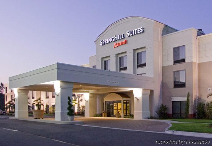 Springhill Suites By Marriott Voorhees Mt. Laurel/Cherry Hill Dış mekan fotoğraf